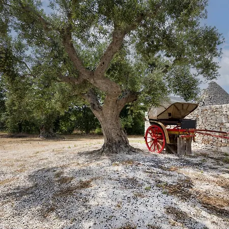 Villa Casale Dello Zio, Private Wood *